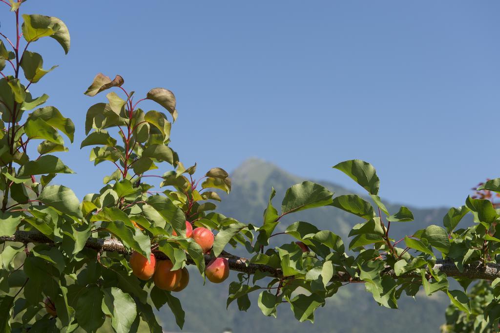 Pension Etschland Tirolo Exteriör bild